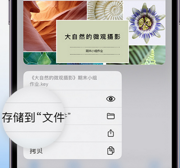 玛纳斯apple维修中心分享iPhone文件应用中存储和找到下载文件