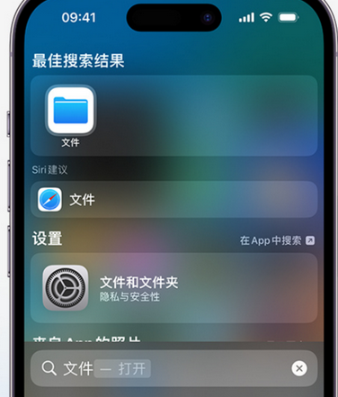 玛纳斯apple维修中心分享iPhone文件应用中存储和找到下载文件