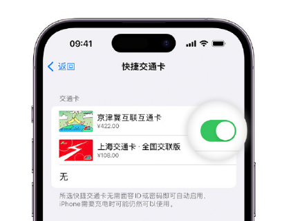 玛纳斯apple维修点分享iPhone上更换Apple Pay快捷交通卡手绘卡面 