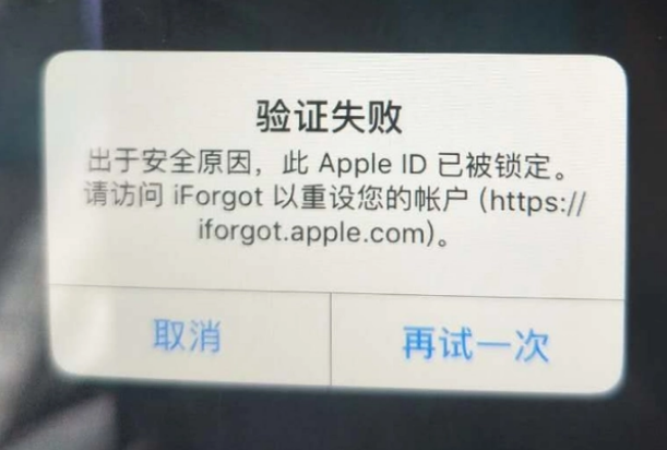 玛纳斯iPhone维修分享iPhone上正常登录或使用AppleID怎么办 