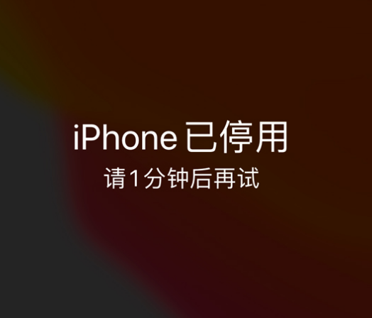 玛纳斯苹果手机维修分享:iPhone 显示“不可用”或“已停用”怎么办？还能保留数据吗？ 