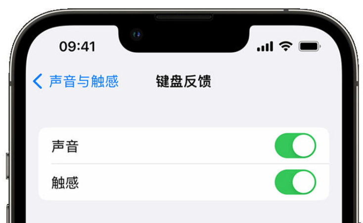 玛纳斯苹果手机维修分享iPhone 14触感键盘使用方法 