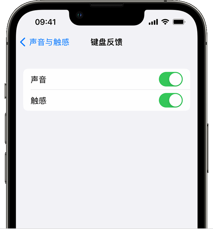 玛纳斯苹果14维修店分享如何在 iPhone 14 机型中使用触感键盘 