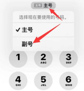 玛纳斯苹果14维修店分享iPhone 14 Pro Max使用副卡打电话的方法 