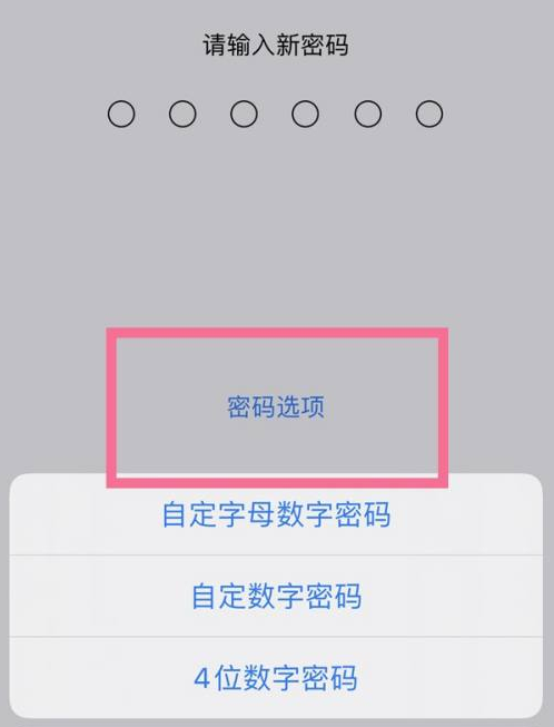 玛纳斯苹果14维修分享iPhone 14plus设置密码的方法 