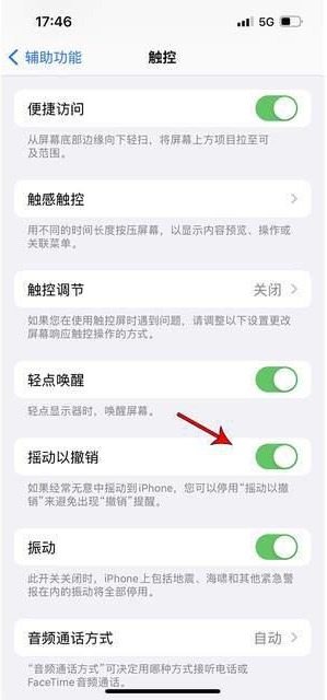 玛纳斯苹果手机维修分享iPhone手机如何设置摇一摇删除文字 