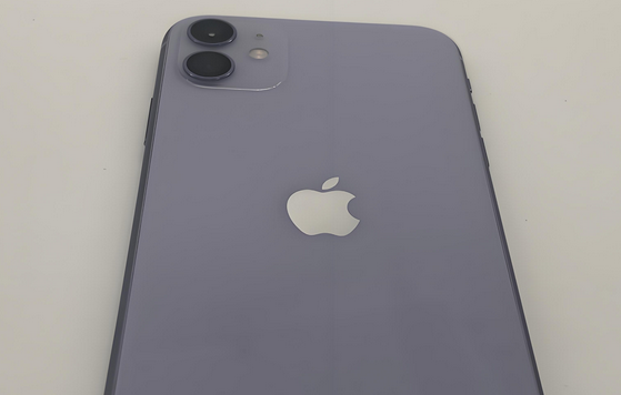 玛纳斯苹果11系统维修分享iPhone11手机系统崩溃无法开机如何解决 