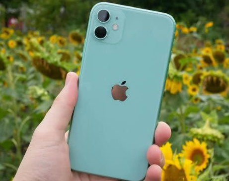 玛纳斯苹果维修点分享iPhone 11锁屏密码认知与使用科普 