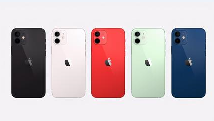 玛纳斯苹果维修点分享iPhone 12锁屏密码系统机制科普 