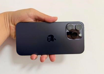 玛纳斯苹果维修点分享iPhone 14 Pro Max黑屏少见故障盘点 
